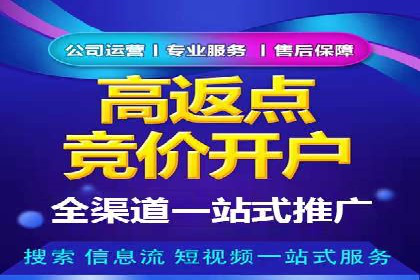 百度竞价推广案例：品牌崛起之路